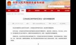在广西新闻频道爆料要付钱吗,揭秘付费爆料真相