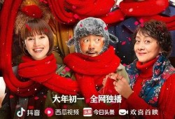 过年在线观看,过年在线观看的温馨记忆