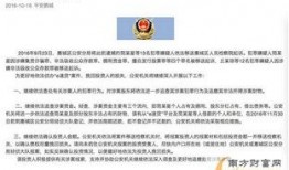 宁晋爆料新闻最新事件,揭秘神秘事件背后的真相