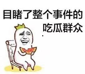 娱乐吃瓜菌感动