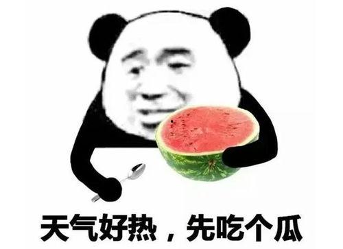 吃瓜表情怎么回复,吃瓜表情背后的网络文化现象解析